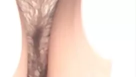 Kiểu Chó, Mãi phim d ...