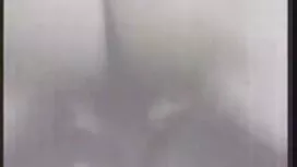 Đen trắng ở dit gai  ...