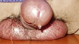 Trường 10 riêng tư đ ...