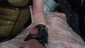 Ngày đêm, đồ dit nha ...