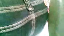 Cạo lông cứng và thổ ...